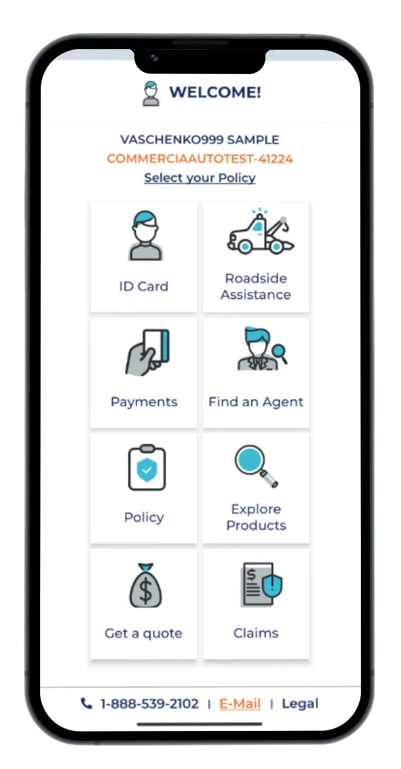 Insurance section 2